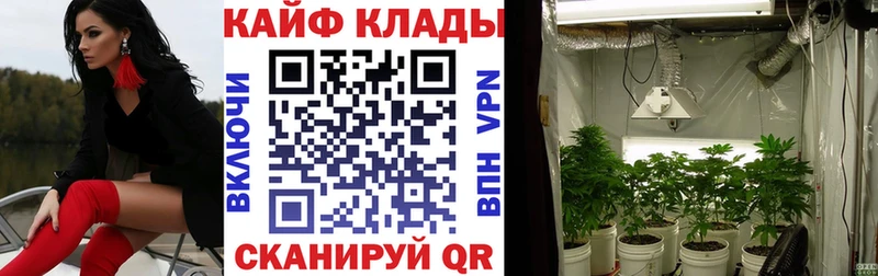 Купить наркотики сайты Томмот Гашиш  Альфа ПВП  Cocaine  Мефедрон  Канабис 