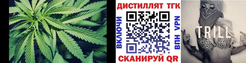 Дистиллят ТГК концентрат MEGA как зайти Томмот закладки