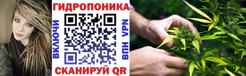 Шишки марихуана Ganja  Томмот 